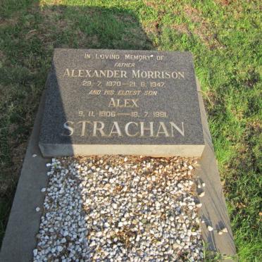 STRACHAN Alexander Morrison 1870-1947 :: STRACHAN Alex 1906-1981