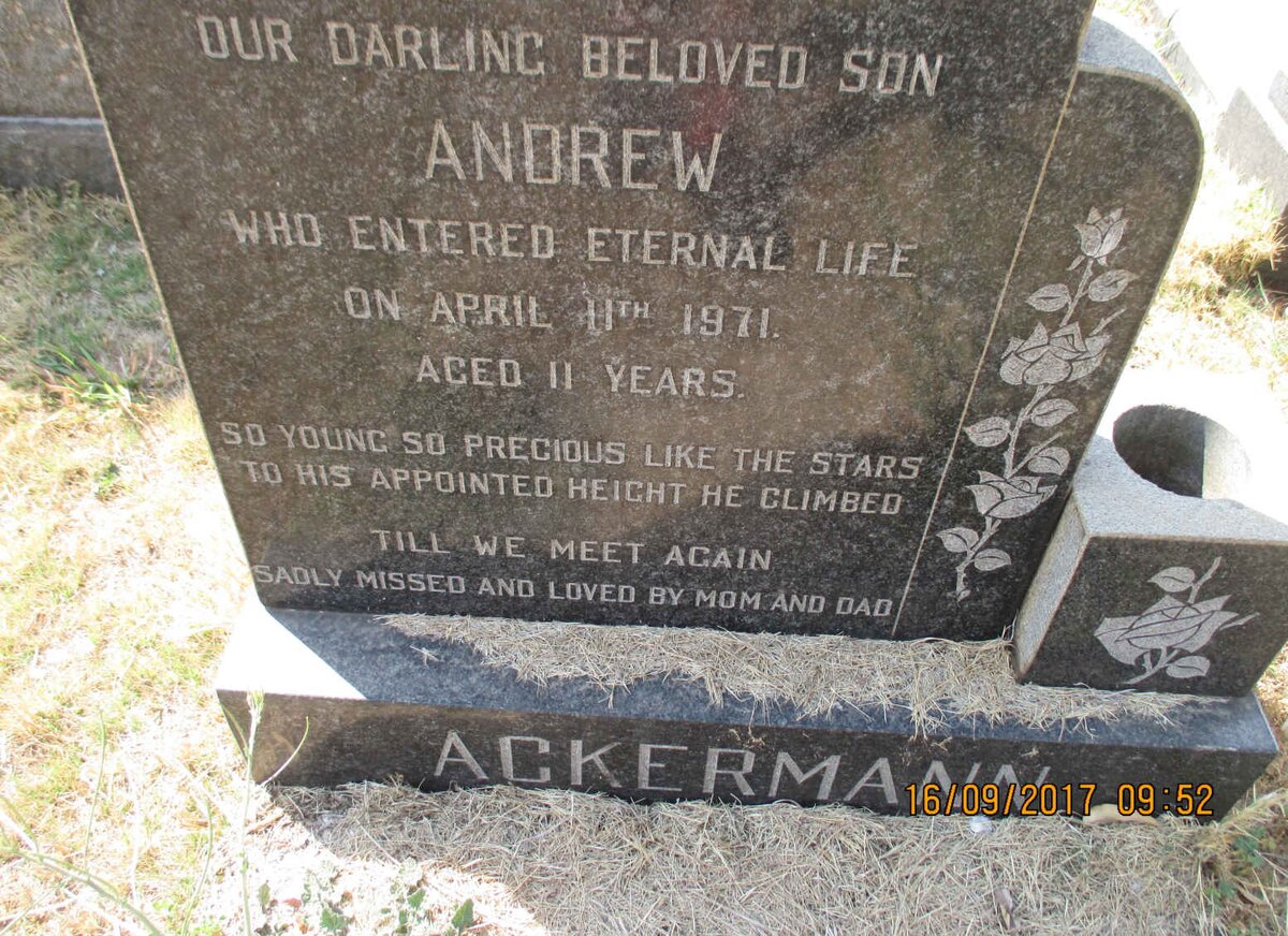 ACKERMANN Andrew  -1971