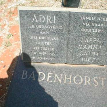 BADENHORST Adri 1952-1978