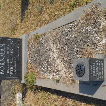 BORNMAN Petrus Albertus 1940-1954 :: BORNMAN C.A.J. 1948-2007