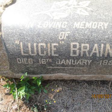 BRAIN Lucie  -1951