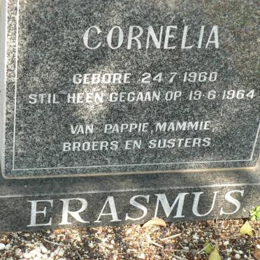 ERASMUS Cornelia 1960-1964