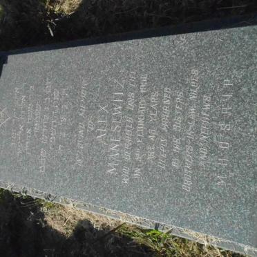 MANESEWITZ Alex -1956