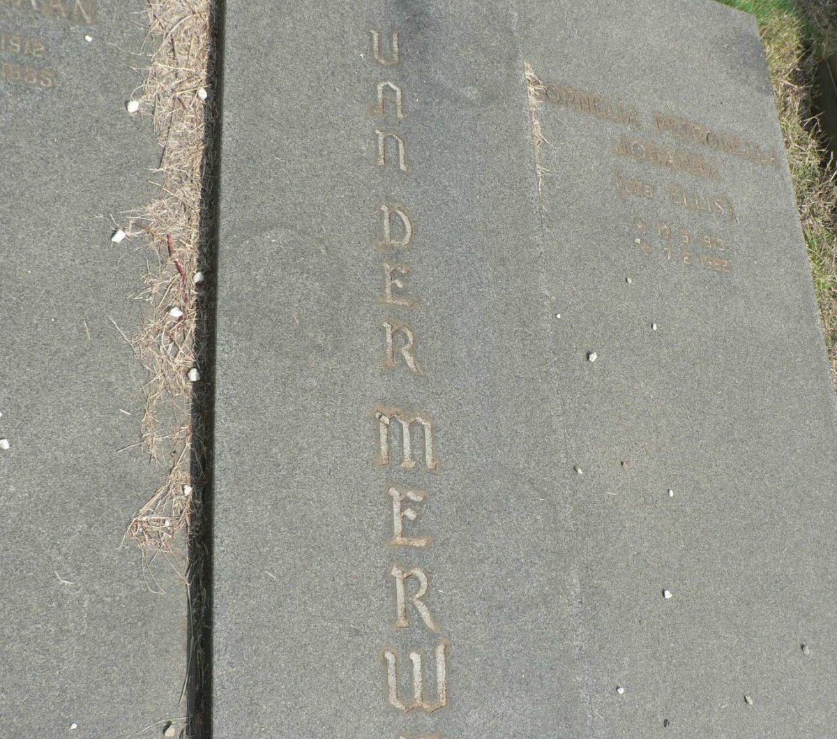 MERWE Jan Mattheus Christiaan, van 1912-1985 &amp; Cornelia Petronella Johanna ELLIS 1913-1982