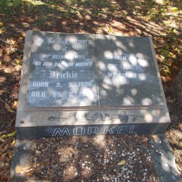 MORKEL Driekie 1926-196?