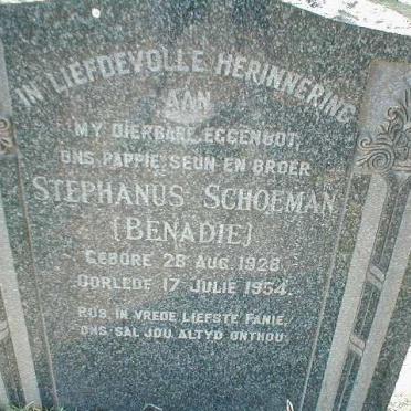 SCHOEMAN Stephanus 1928-1954