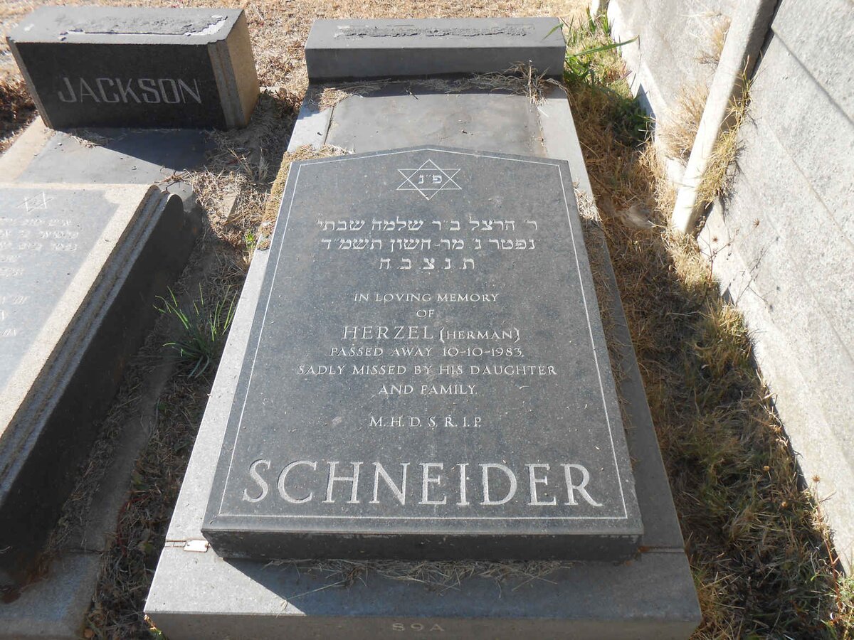 SCHNEIDER Herzel -1983