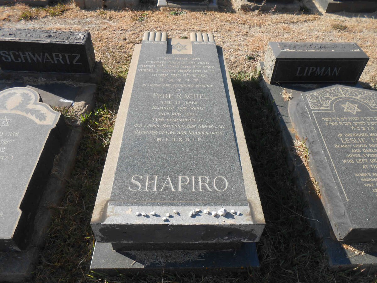 SHAPIRO Pere Rachel -1953