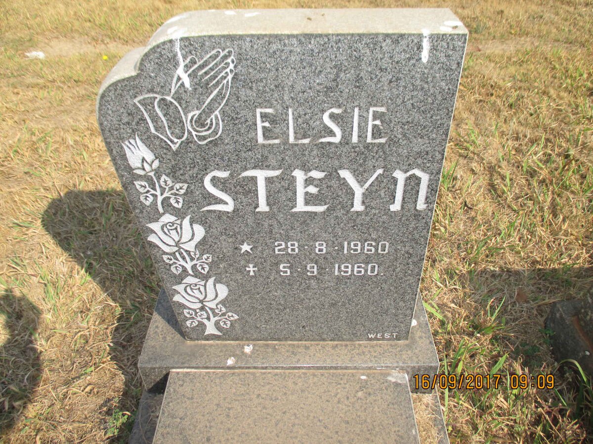 STEYN Elsie 1960-1960
