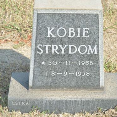 STRYDOM Kobie 1956-1958