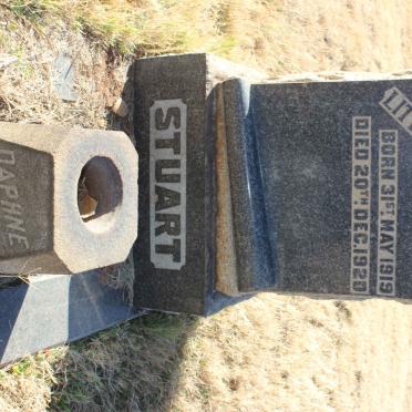 STUART Evelyn 1919-1920 :: STUART Daphne -1945