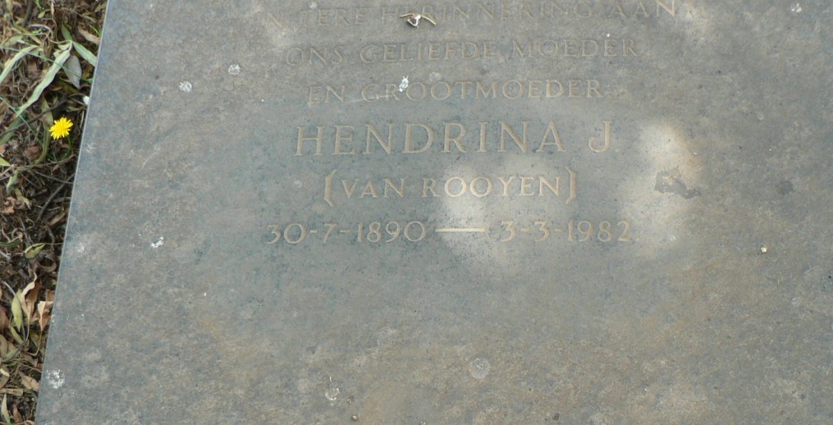 HATTINGH Hendrina J. nee VAN ROOYEN 1890-1982