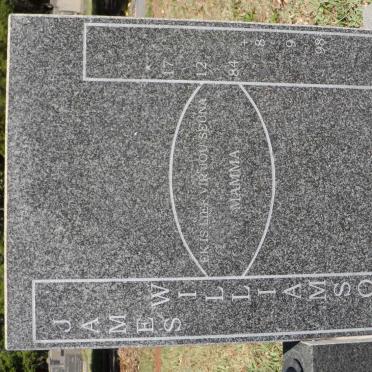 WILLIAMSON James 1984-1998