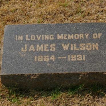 WILSON James 1864-1931
