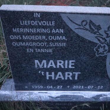 t'HART Marie 1959-2021