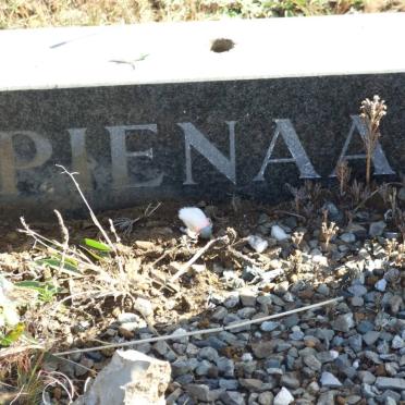 PIENAAR Philippus 1922-1977       