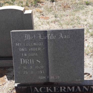 ACKERMANN Dries 1920-1997