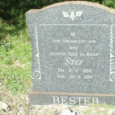 BESTER Stef 1938-1960