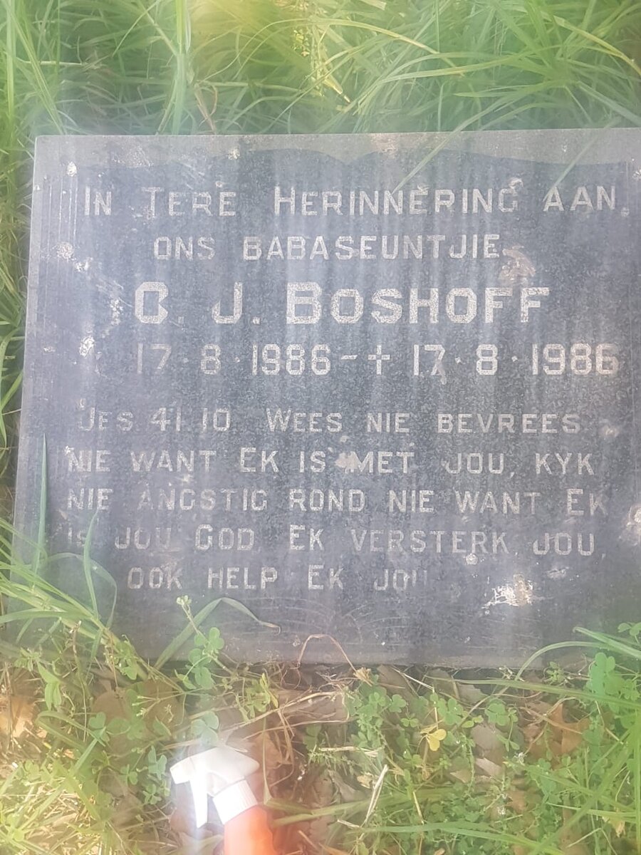 BOSHOFF C.J. 1986-1986