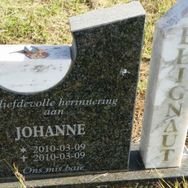 BLIGNAUT Johanne 2010-2010