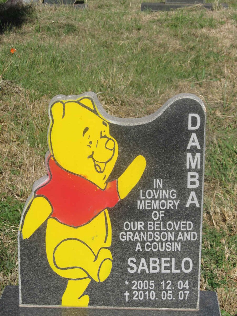 DAMBA Sabelo 2005-2010