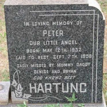 HARTUNG Peter 1952-1956