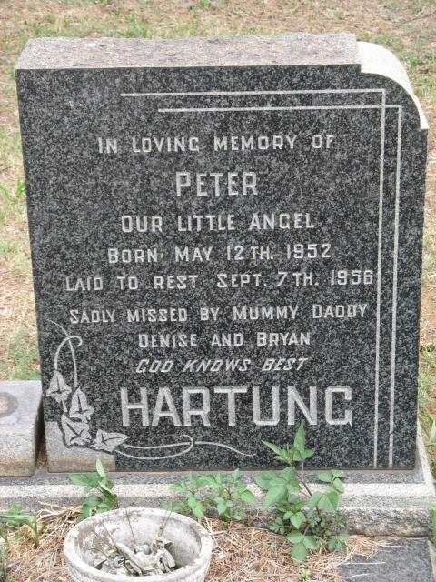 HARTUNG Peter 1952-1956