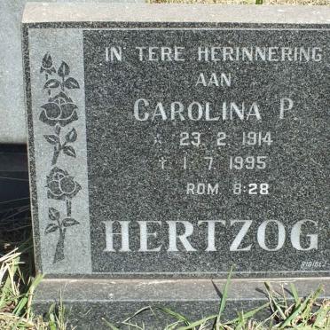 HERTZOG Carolina P. 1914-1995