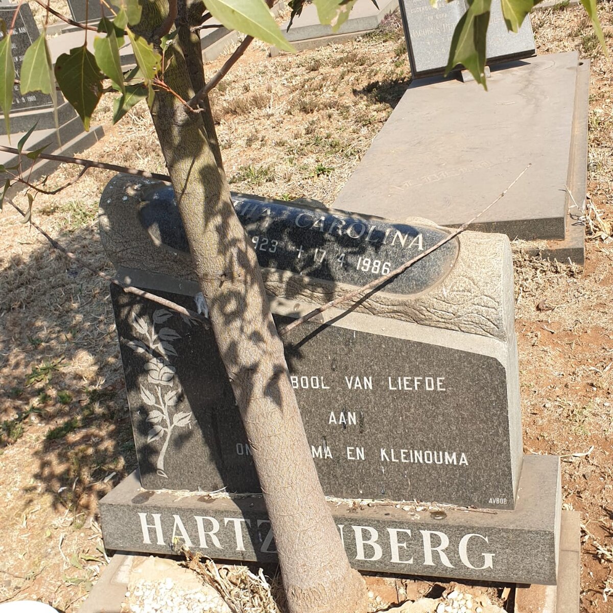 HARTZENBERG ? Carolina 1923-1986