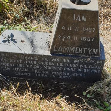 LAMMERTYN Ian 1987-1987