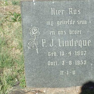 LINDEQUE P.J. 1907-1953