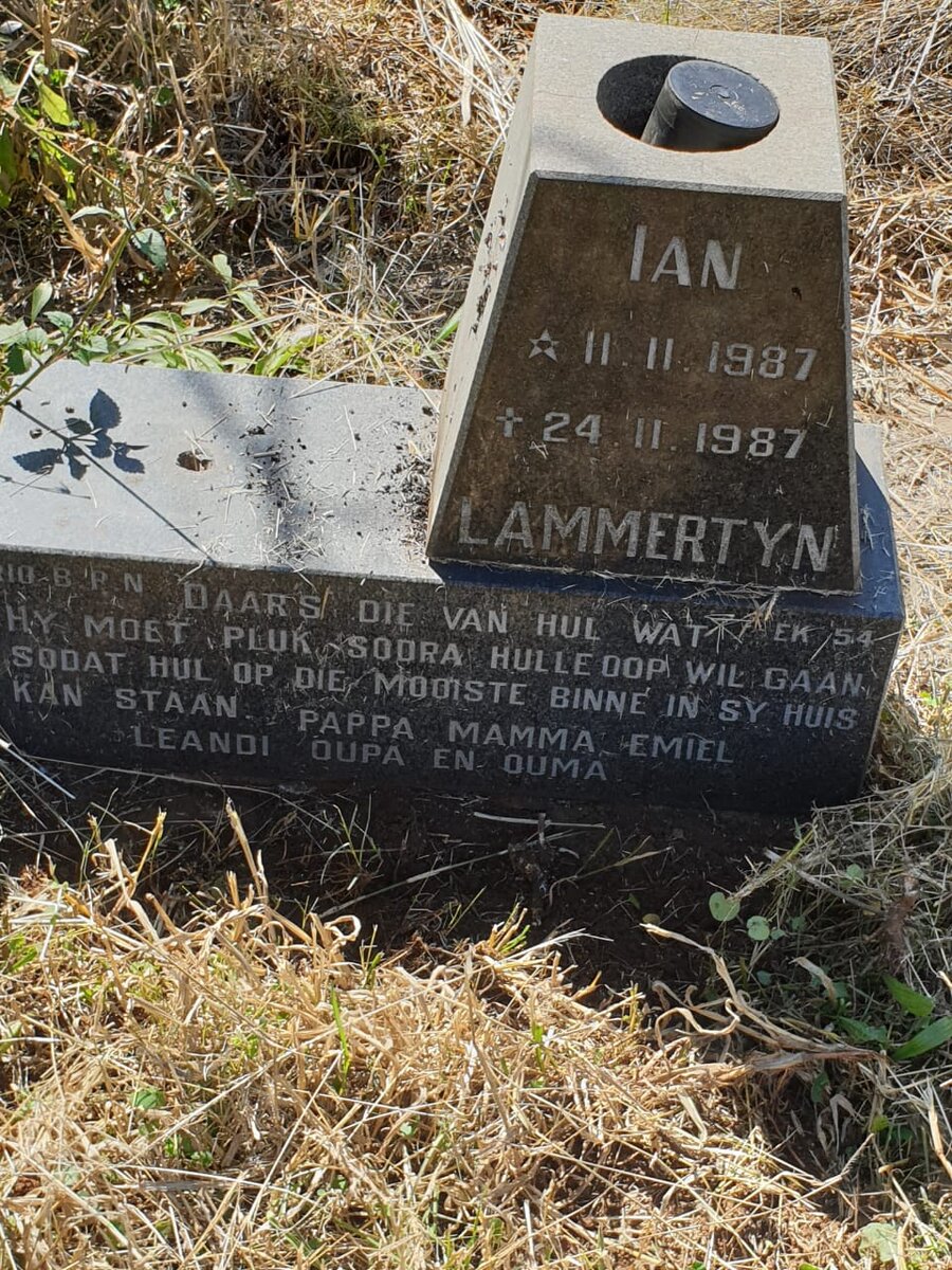 LAMMERTYN Ian 1987-1987