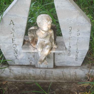 MINNAAR Anthony 1985-1985