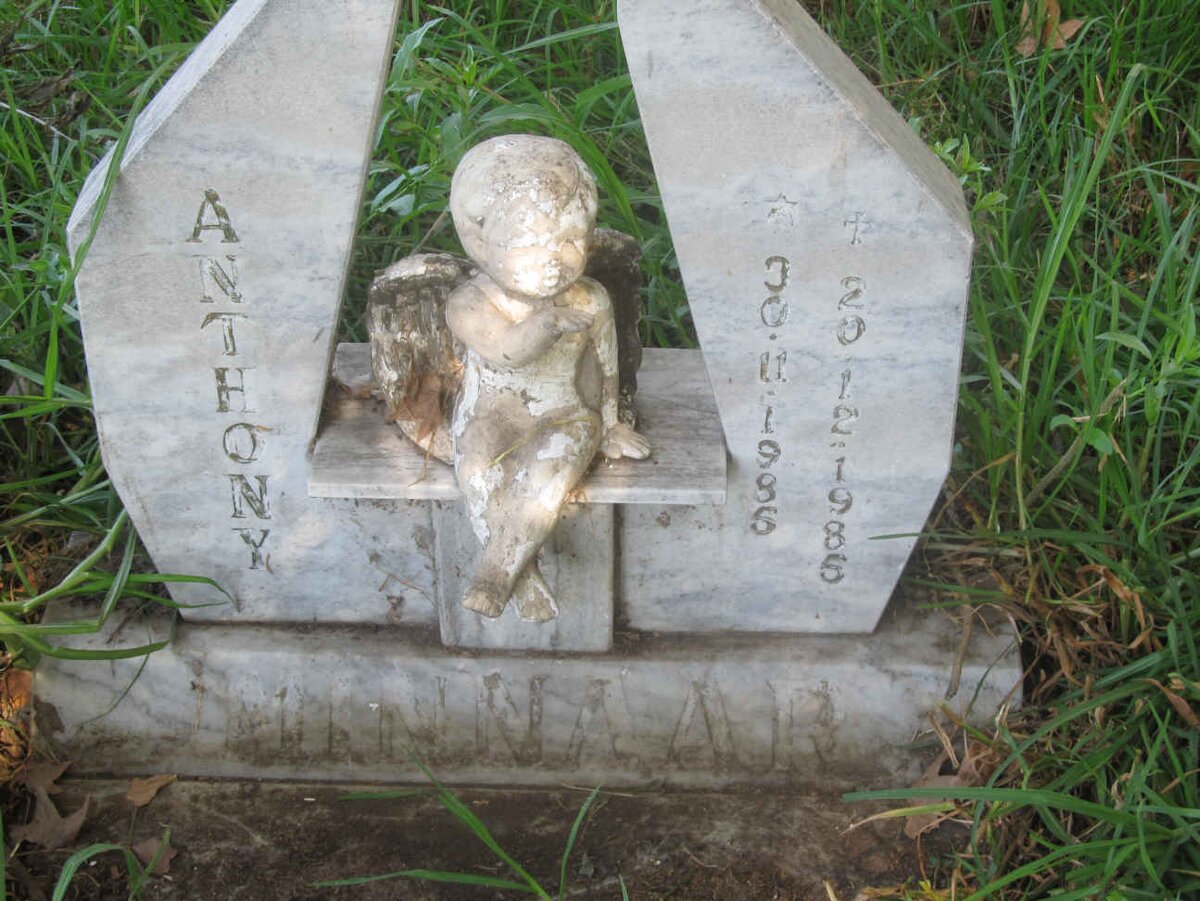 MINNAAR Anthony 1985-1985