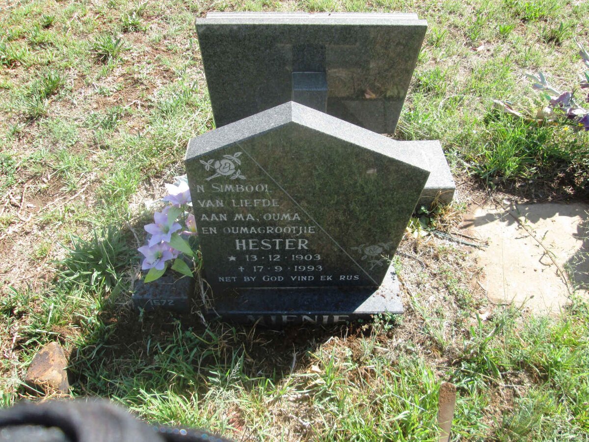 MIENIE Hester 1903-1993