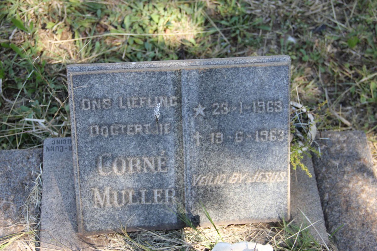 MULLER Corné 1963-1963