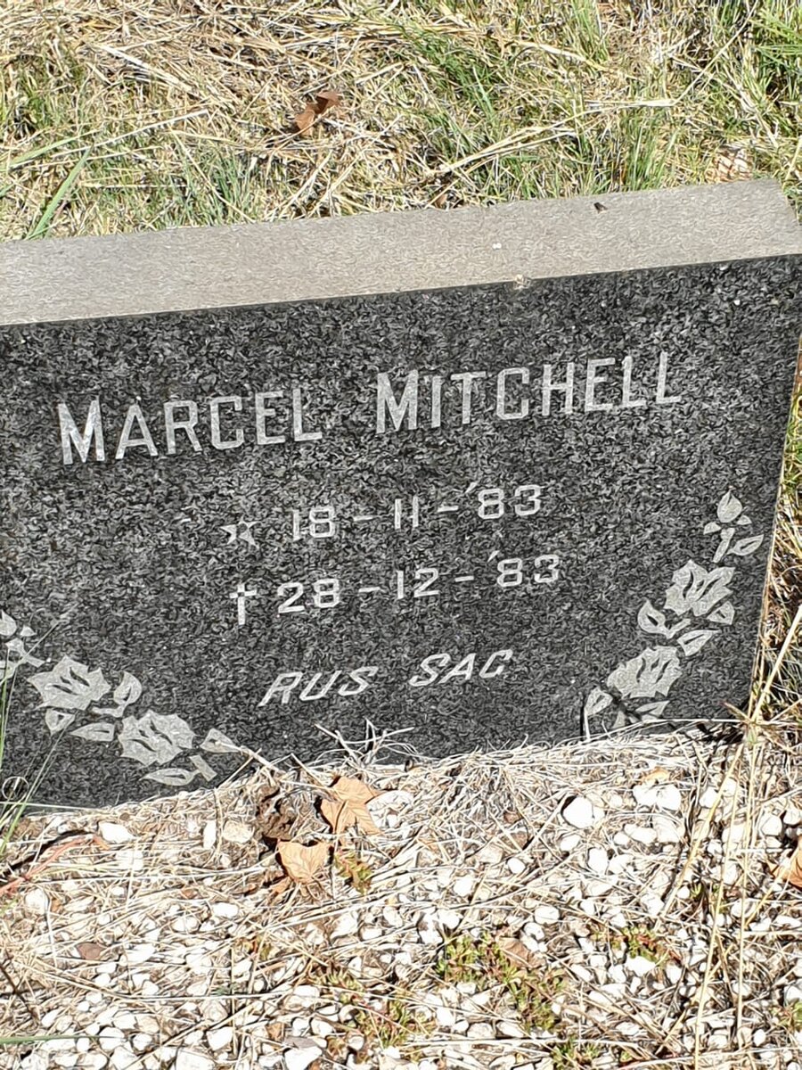 MITCHELL Marcel 1983-1983