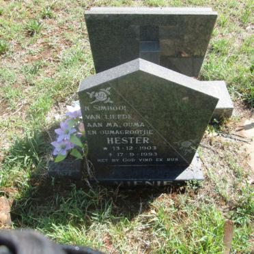 MIENIE Hester 1903-1993