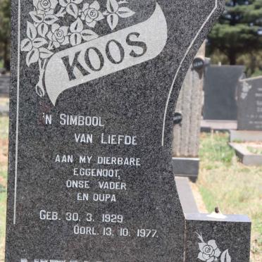 NIENABER Koos 1929-1977
