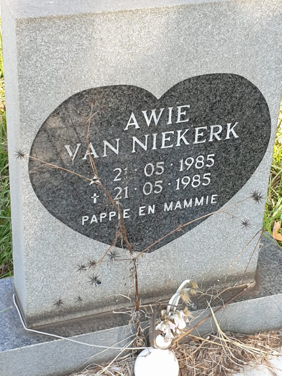 NIEKERK Awie, van 1985-1985