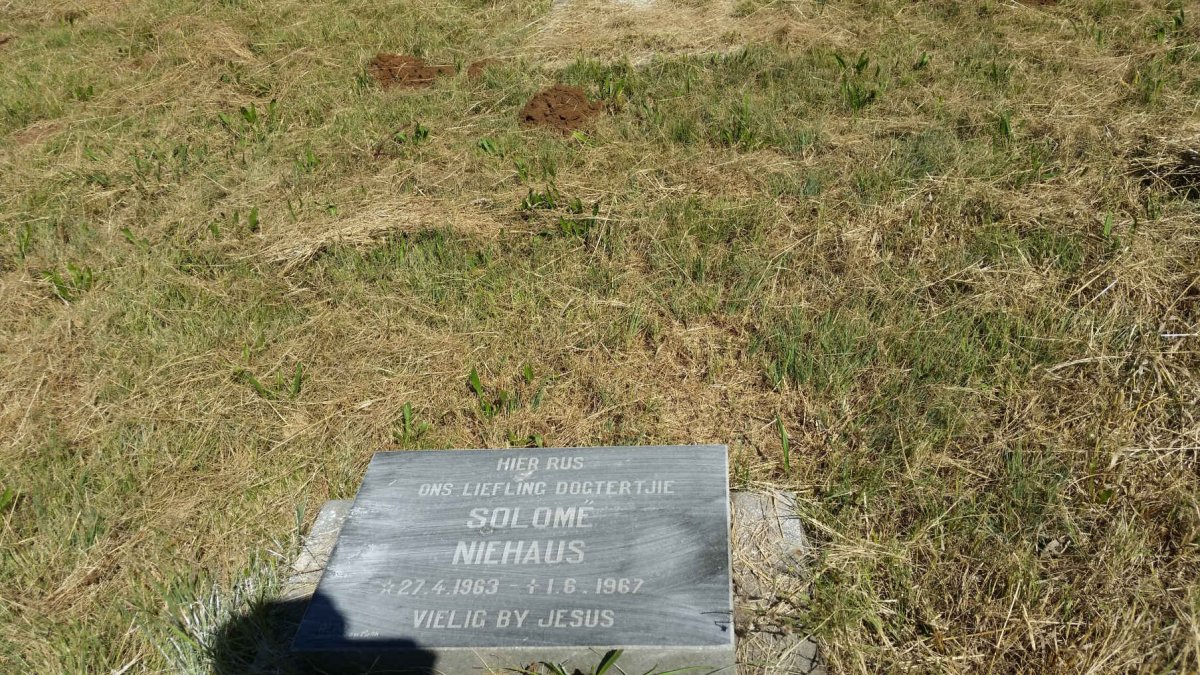 NIEHAUS Salomé 1963-1967