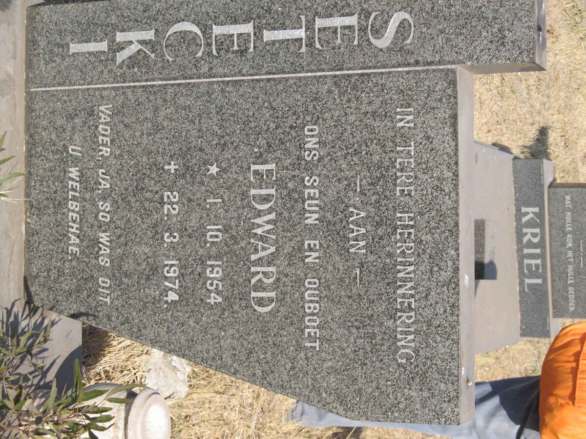 SETECKI Edward 1954-1974