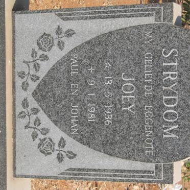 STRYDOM Joey 1936-1981