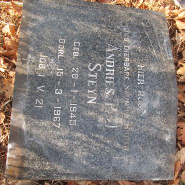 STEYN Andries P.J. 1945-1967