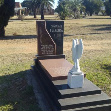 TEIXEIRA Dominique 1981-2003