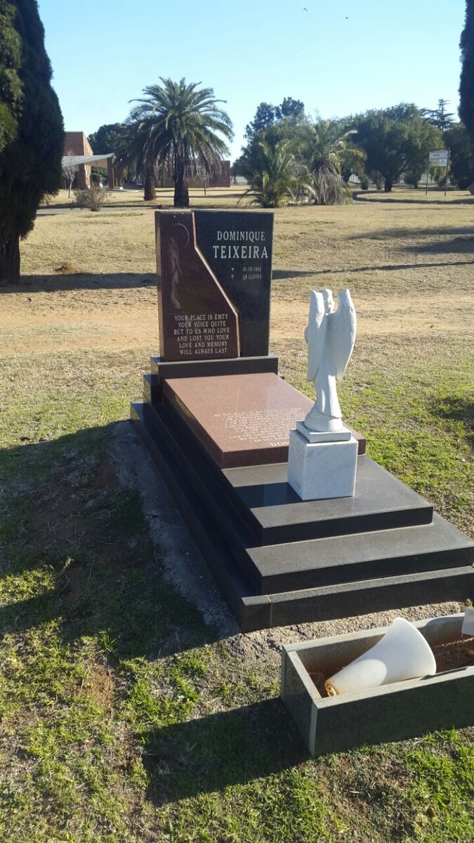 TEIXEIRA Dominique 1981-2003