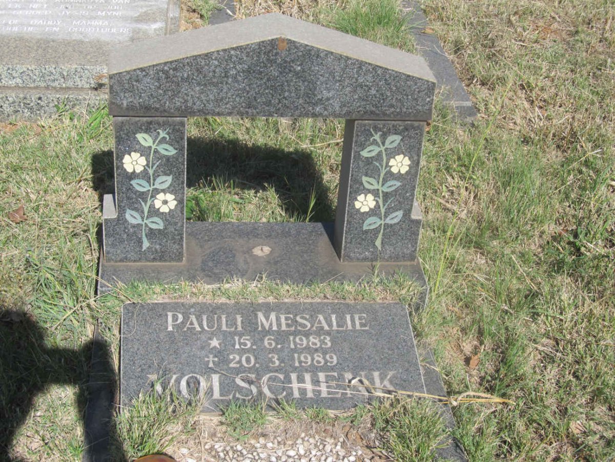 VOLSCHENK Pauli Mesalie 1983-1989