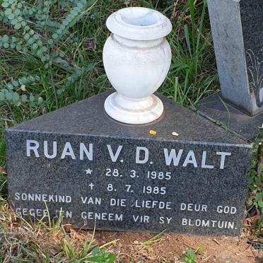 WALT Ruan, v.d. 1985-1985