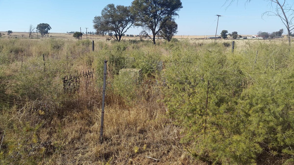 1. Overview / Oorsig