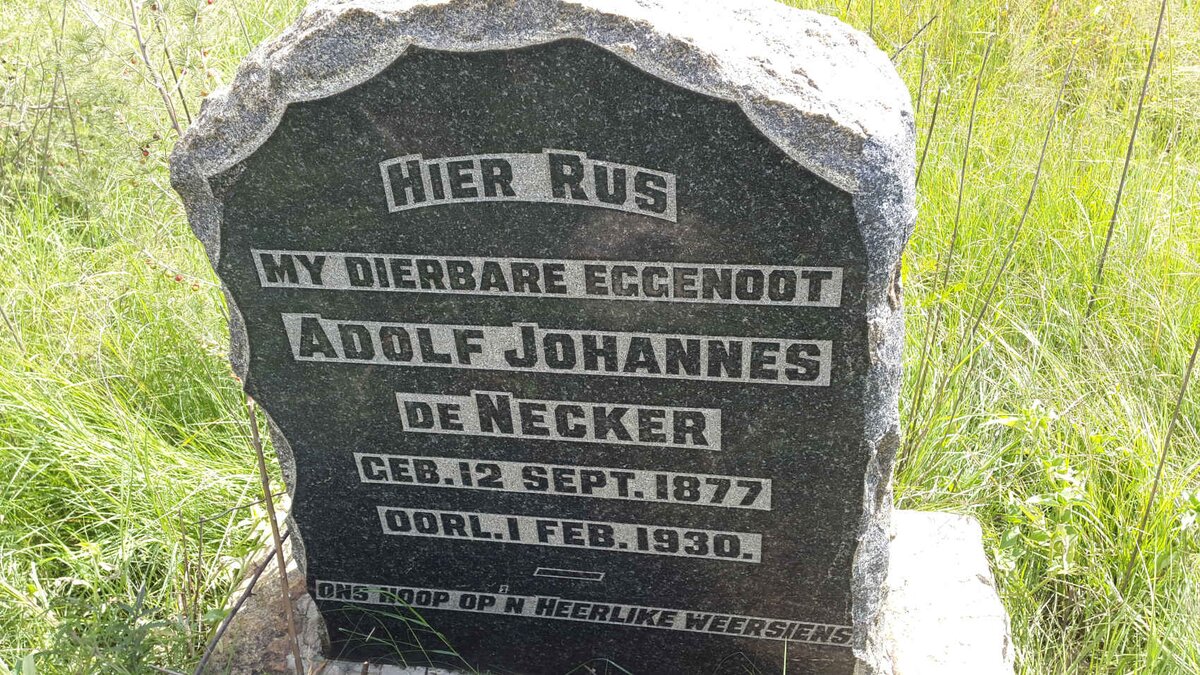 NECKER Adolf Johannes, de 1877-1930